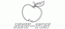 Нью-тон